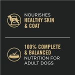 Purina Pro Plan Complete Essentials Wet Dog Food, Entree Variety Pack 2 Flavours - 368 g Can (12 Pack) - Image 7