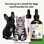 Pet Wellbeing Life Gold for Dogs and Cats - Vet-Formulated - Immune Support and Antioxidant Protection - Natural Herbal Supplement 4 oz (118 ml) - Image 2