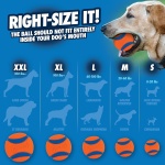 Chuckit! Ultra Ball, Medium (2.5 Inch), 2 Count - Image 4