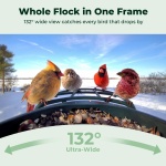 Kiwibit Solar Smart Bird Feeder with Camera, 4K HDR Live Video, AI Bird ID - Image 10