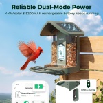 Kiwibit Solar Smart Bird Feeder with Camera, 4K HDR Live Video, AI Bird ID - Image 3