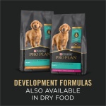 Purina Pro Plan (3810002773) Wet Dog Food, Focus, Puppy Chicken & Rice Entree Classic, 13-Ounce Can, Pack of 12 - Image 5