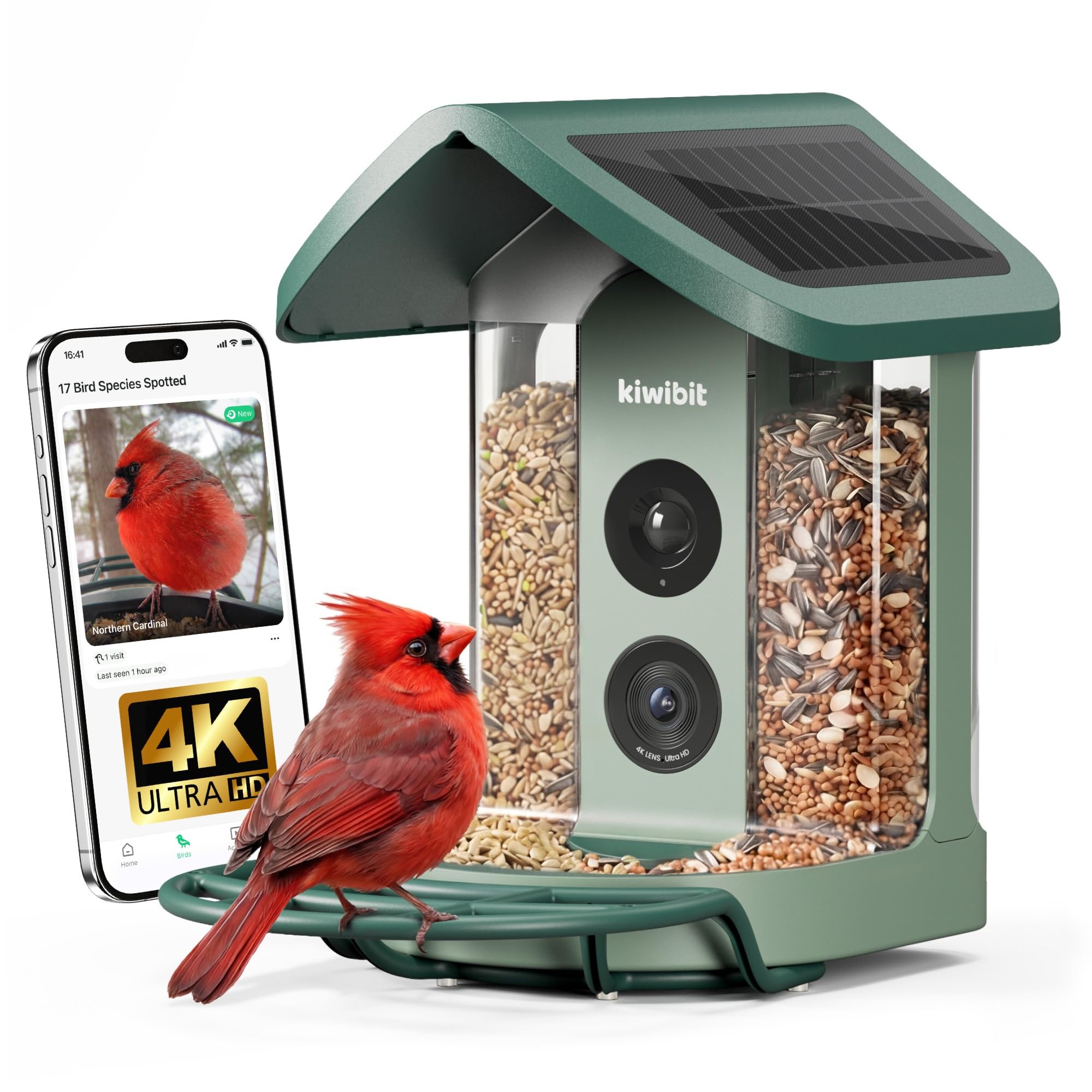 Kiwibit Solar Smart Bird Feeder with Camera, 4K HDR Live Video, AI Bird ID