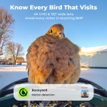 Kiwibit Solar Smart Bird Feeder with Camera, 4K HDR Live Video, AI Bird ID - Image 2