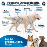 Omega 3 Fish Oil for Dogs - Better Than Salmon Oil for Dogs - Dog Fish Oil Supplement for Shedding, Allergy, Itch Relief - Supports Dry Skin, Joints - Dog Skin and Coat Supplement - Fish Oil Liquid - Image 8