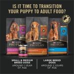 Purina Pro Plan (3810002773) Wet Dog Food, Focus, Puppy Chicken & Rice Entree Classic, 13-Ounce Can, Pack of 12 - Image 2