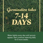 O.M. Scott & Sons Tall Fescue Blend Grass Seed, 8 lbs. - Image 9